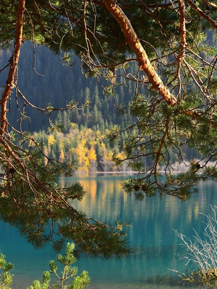 Photograph by Эльвира