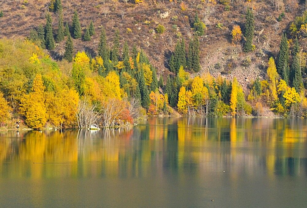 Photograph by Эльвира