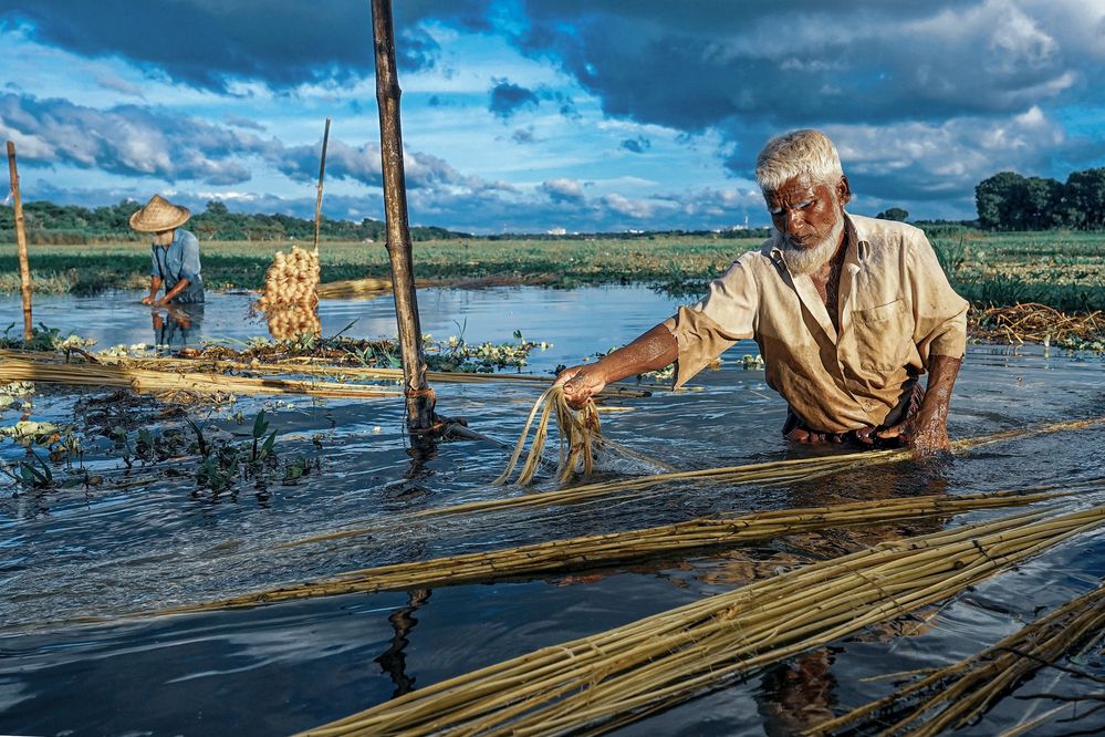 Фотография автора Muhaiminur Rakib