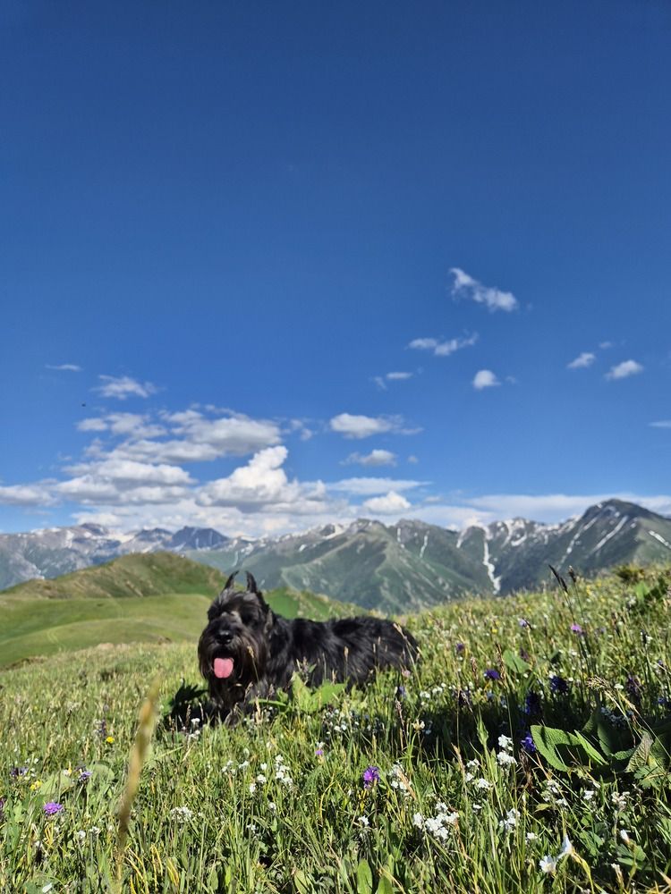 Photograph by Эльвира