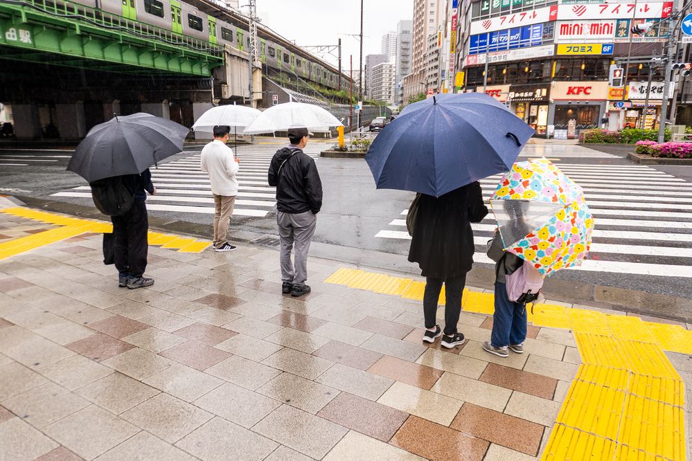 Photograph by SHAKE MD SAMIR