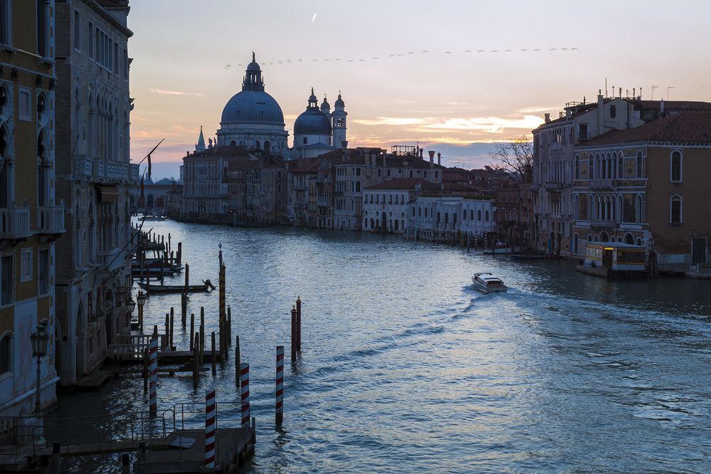 Photograph by Александр Журавлев