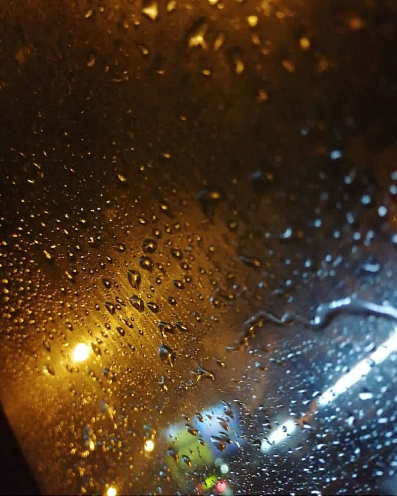 Фотография автора Софья Копейкина