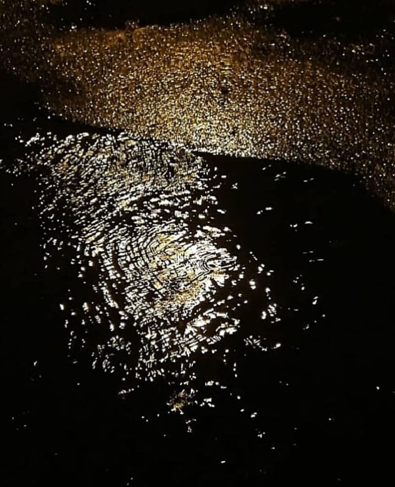 Фотография автора Софья Копейкина