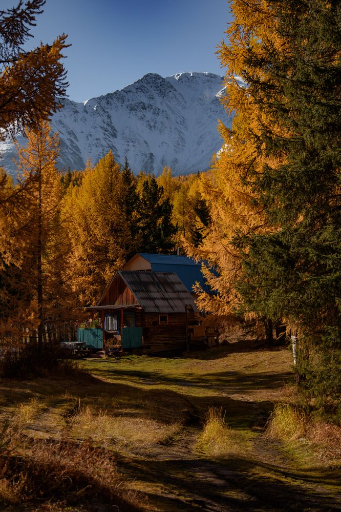 Фотография автора Эльвира Чернова