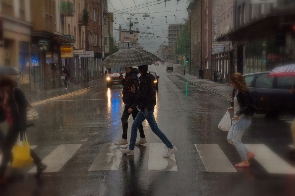 Photograph by Игорь Гомельский