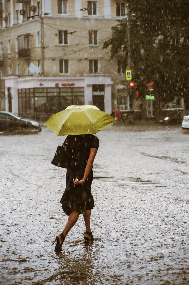 Photograph by Алексей Огненный