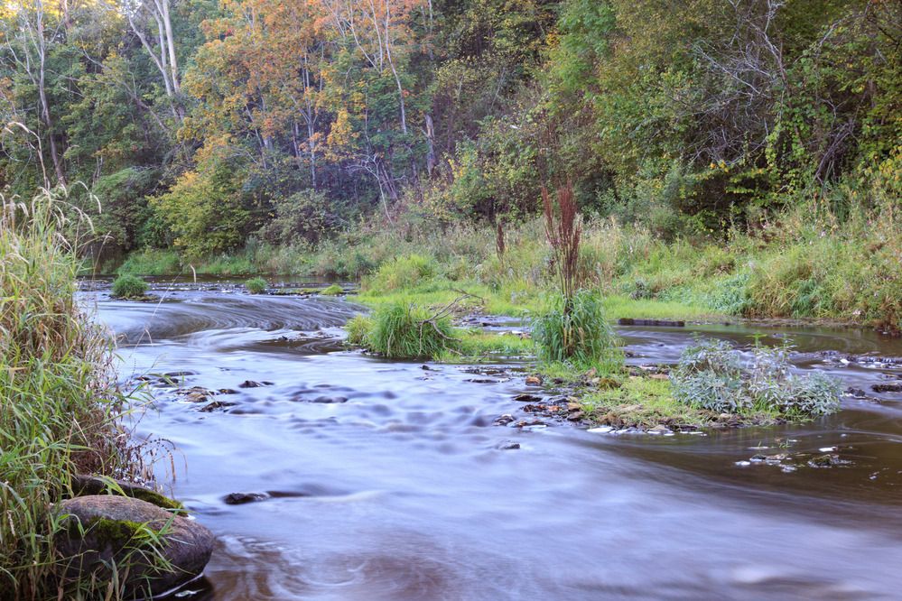 Фотография автора Ярослав Качура