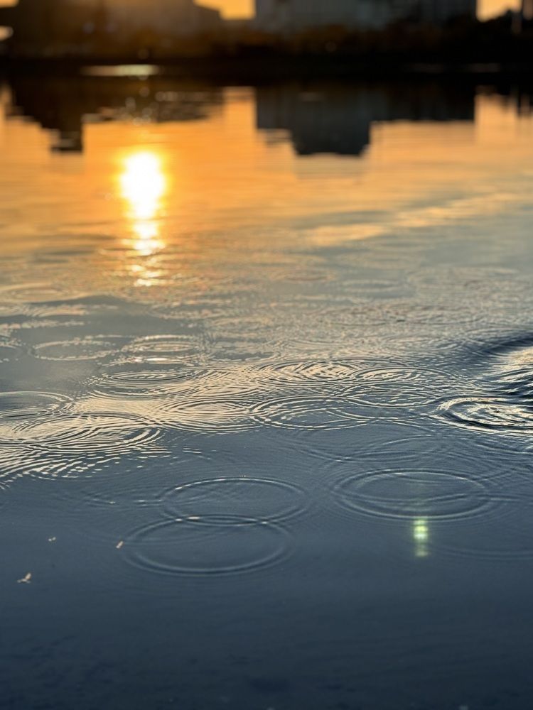 Photograph by Юлия Чернышёва