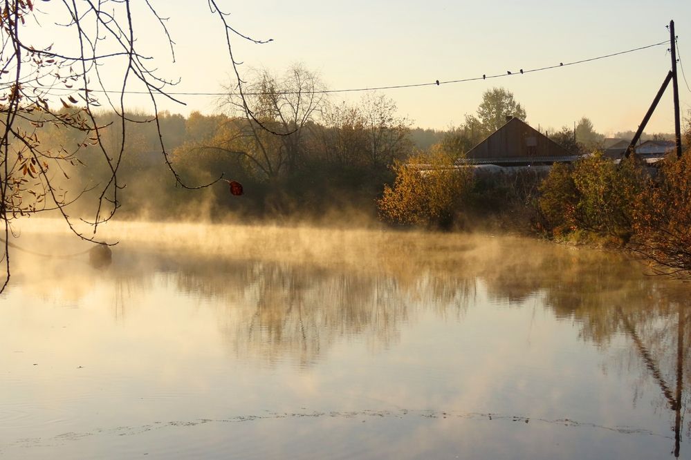 Фотография автора Екатерина Солохина