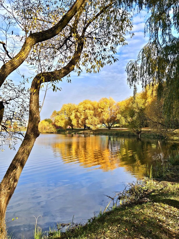 Фотография автора Elena Polonetskaya