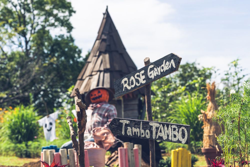 Photograph by Suzuki Ryuta