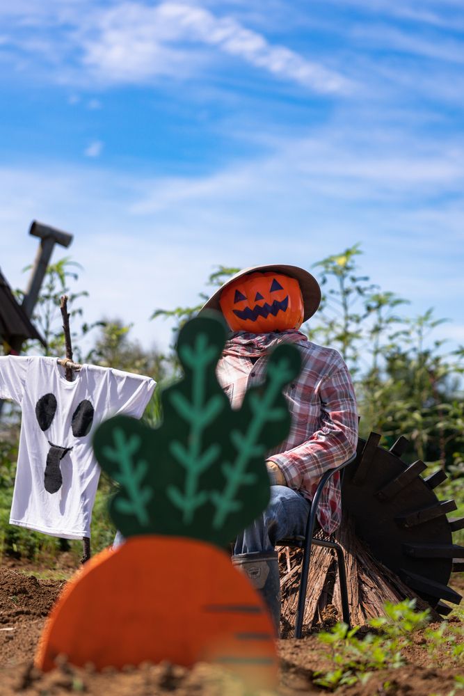 Photograph by Suzuki Ryuta