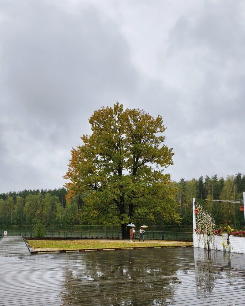 Photograph by Галина Бессуднова