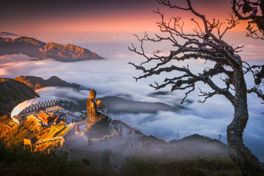 Фотография автора Tran Linh
