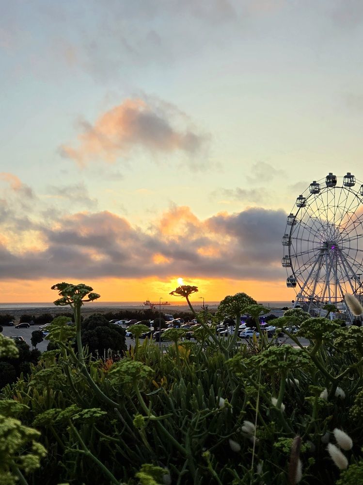 Фотография автора Elena Polonetskaya