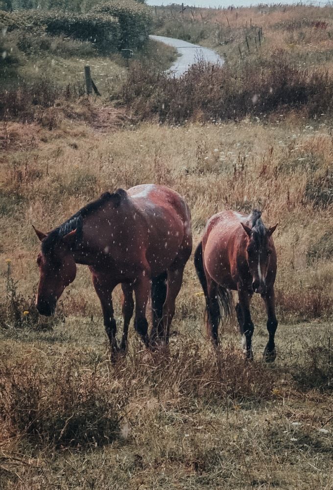 Photograph by Александра Шилова