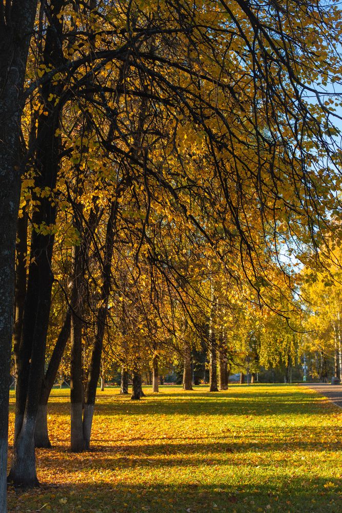 Photograph by Ксения Шилина