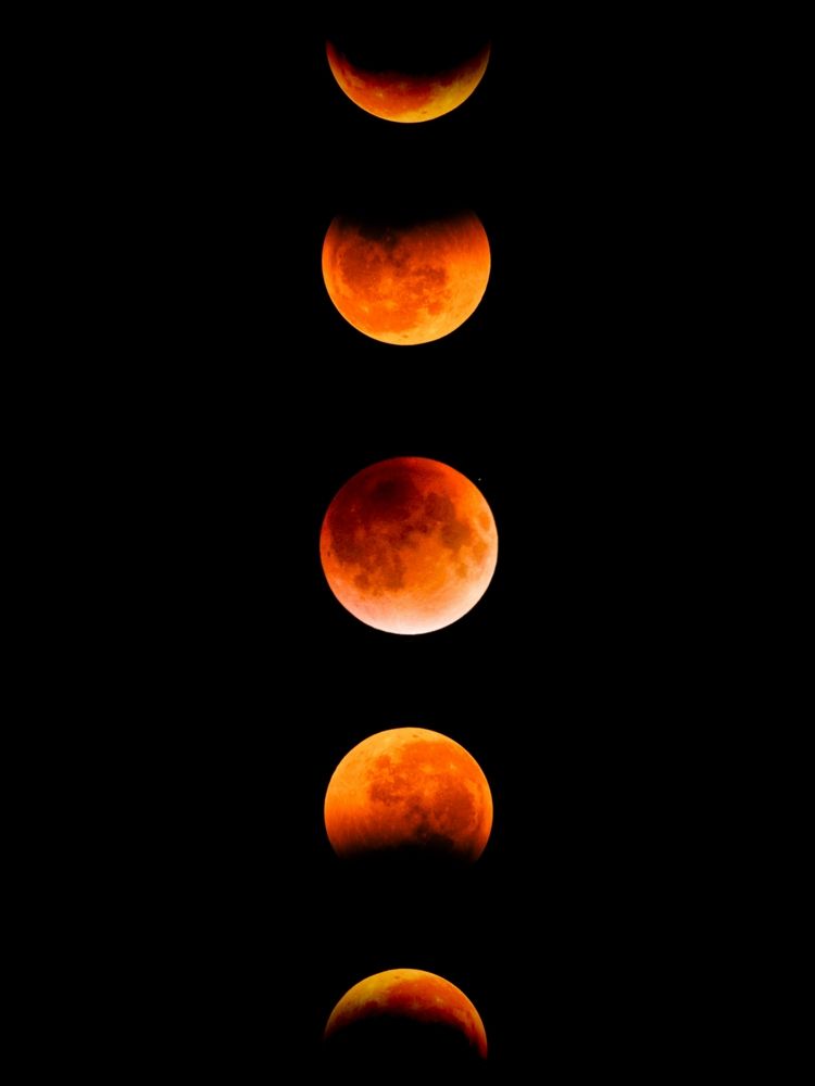 Фотография автора Dhruv Jangid