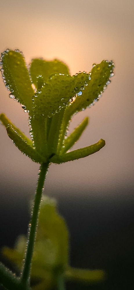 Фотография автора Dhruv Jangid