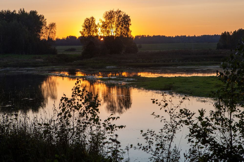 Фотография автора TOTORO