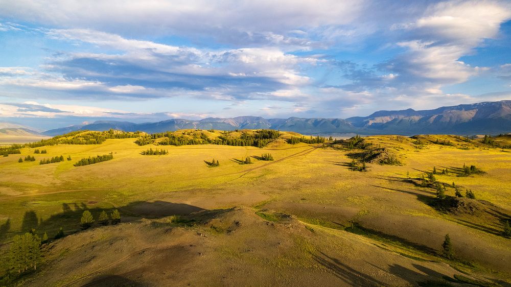 Фотография автора TOTORO