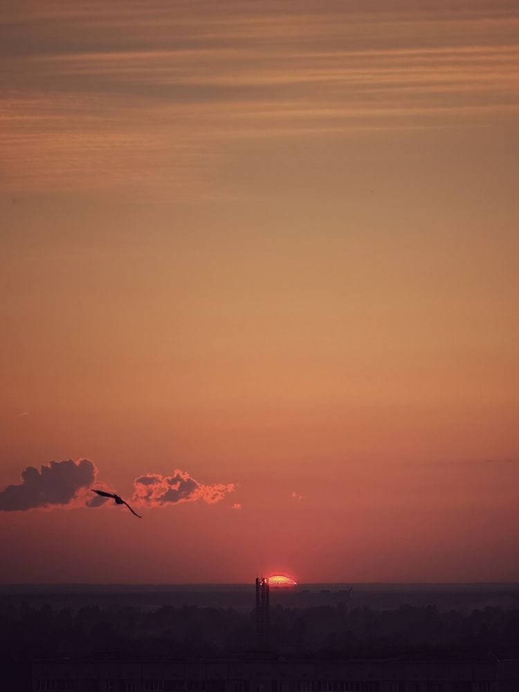Photograph by Анна Столбова