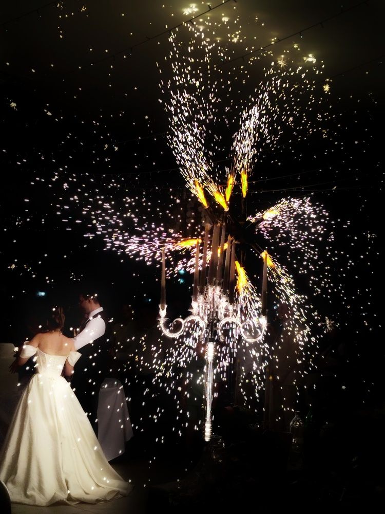 Фотография автора JELENA VASIC