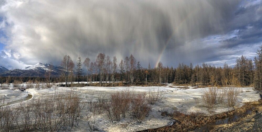 Photograph by Светлана Гореликова
