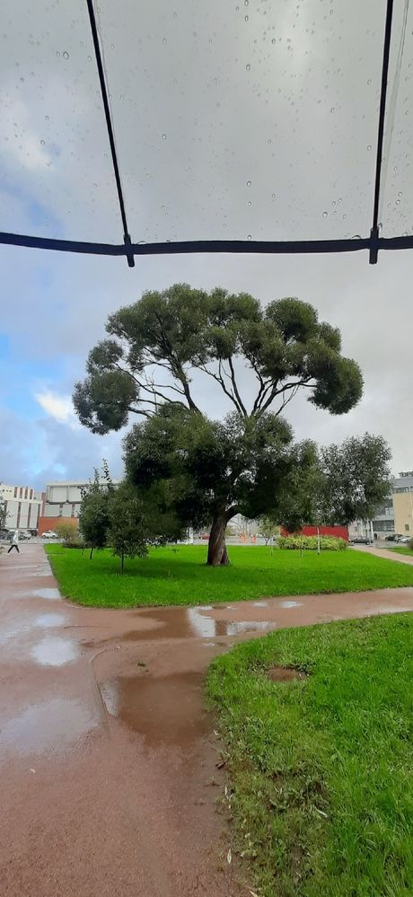 Дождь порой на чьи то слезы похож. И пусть это будут слезы РАДОСТИ!