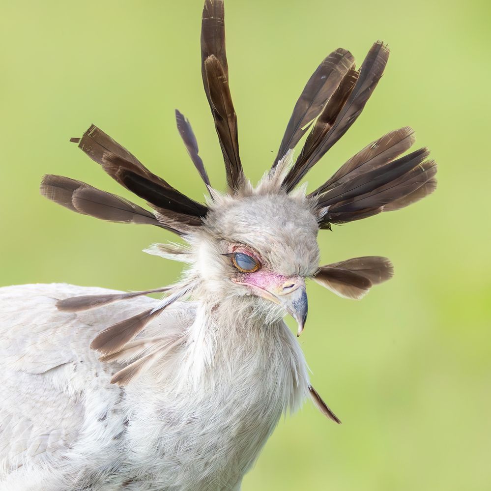 Photograph by Sekhar Kiran Krishanan