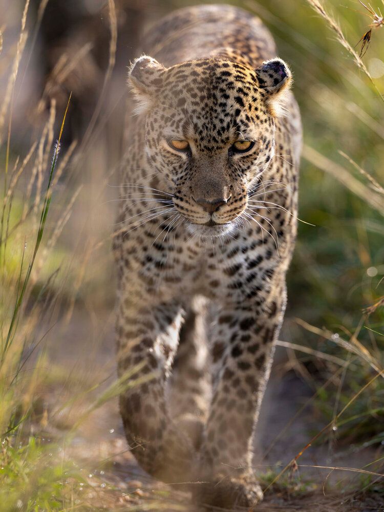 Photograph by Sekhar Kiran Krishanan