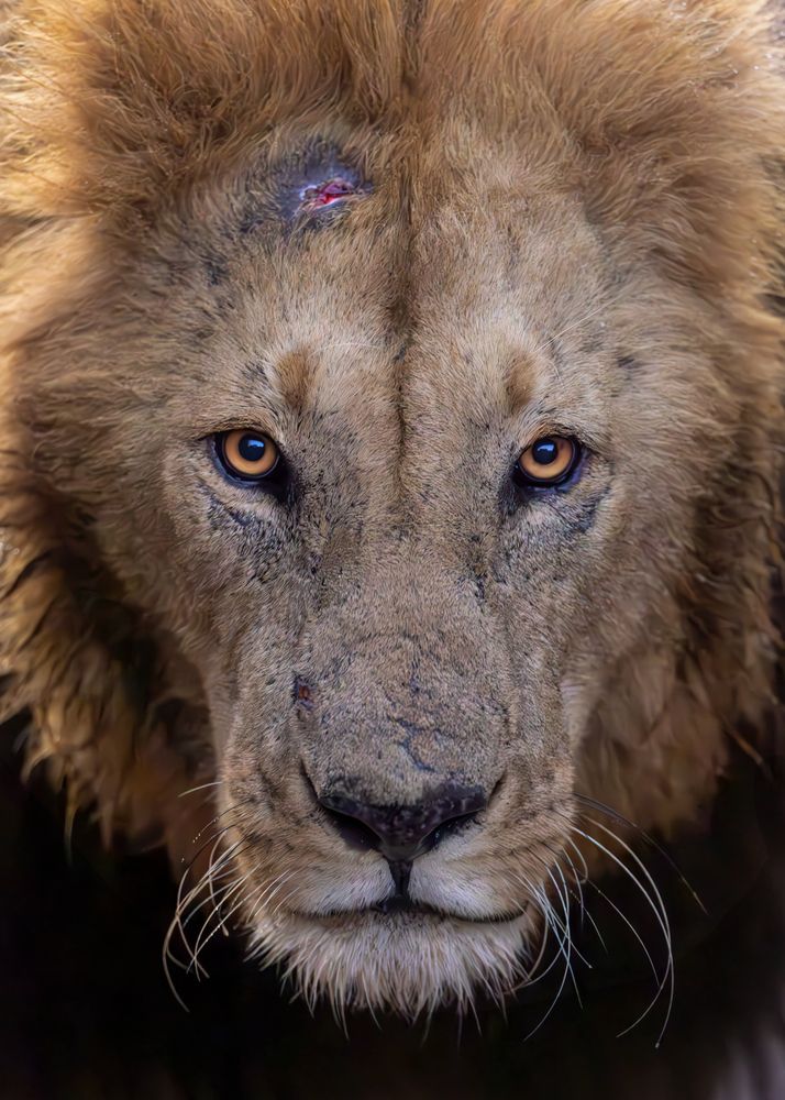 Photograph by Sekhar Kiran Krishanan