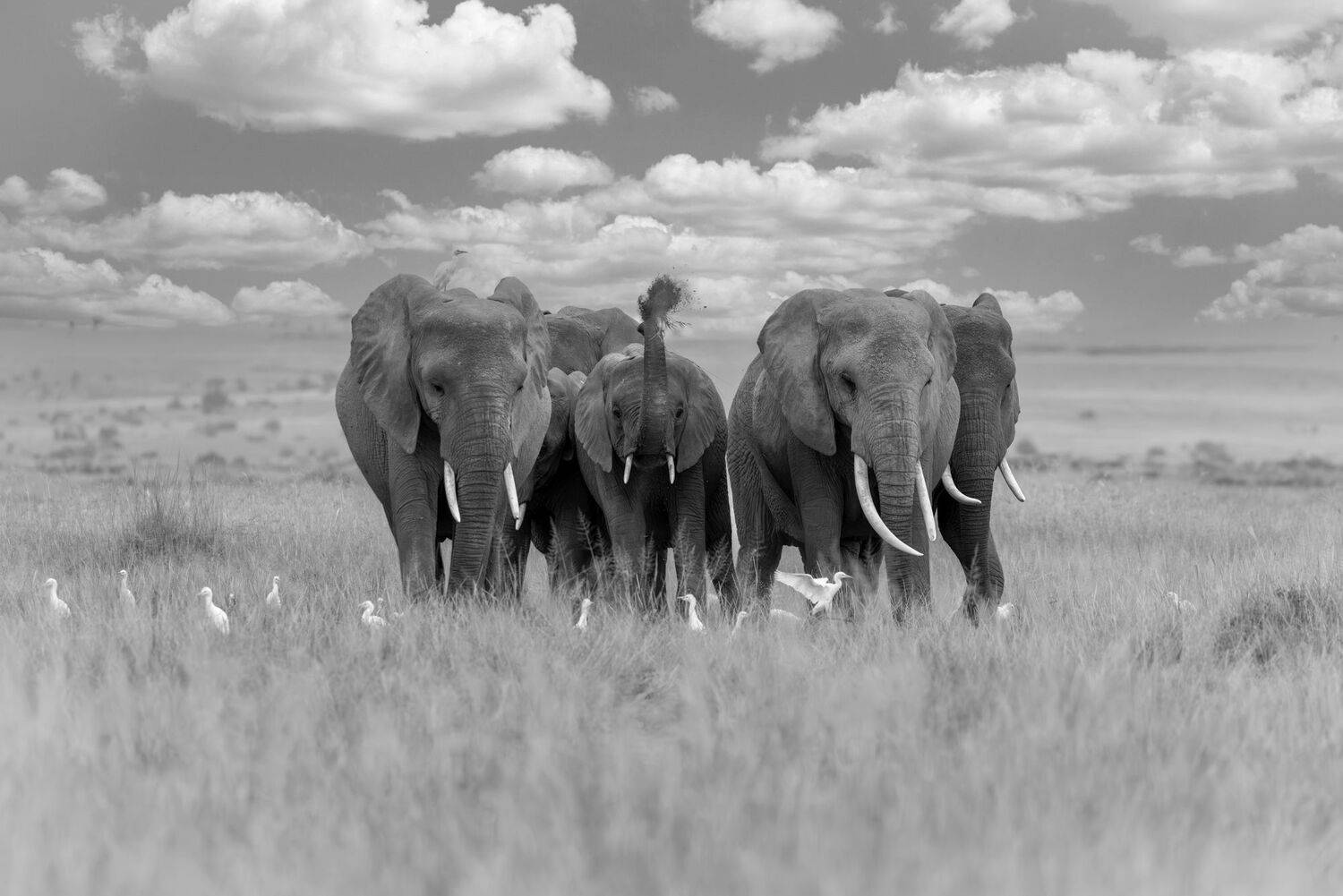 Resilience and Strength