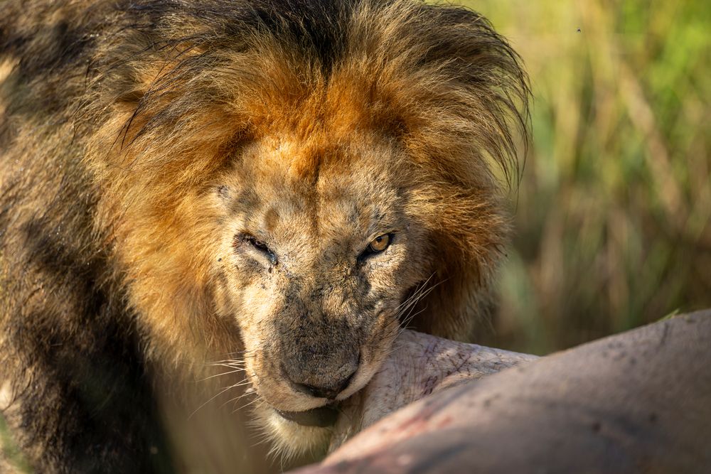 Photograph by Sekhar Kiran Krishanan