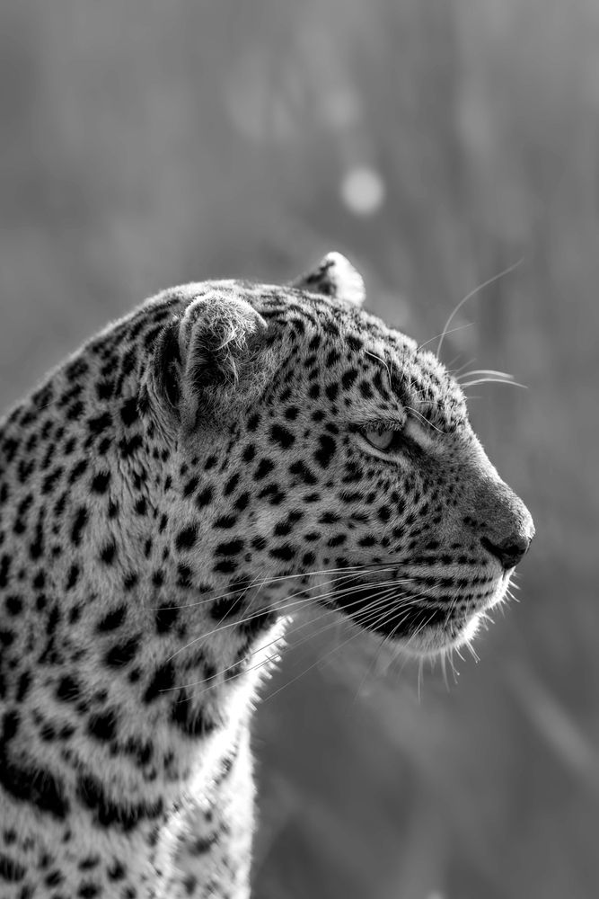 Photograph by Sekhar Kiran Krishanan