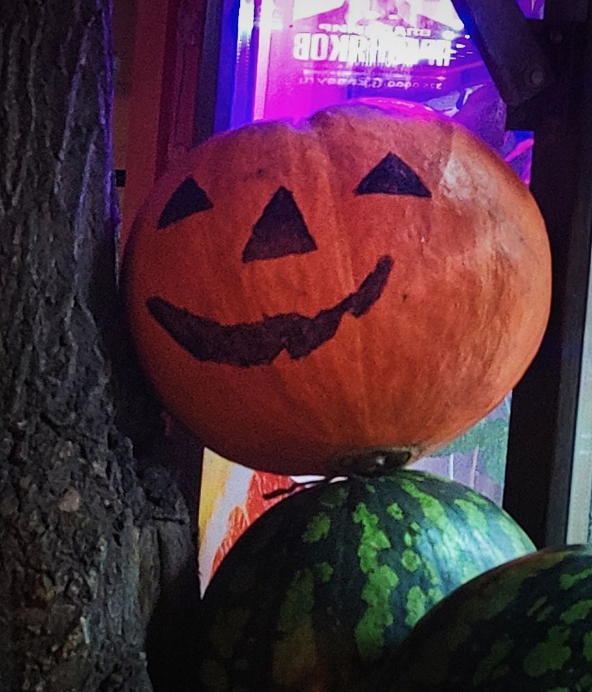 Photograph by Olena Chertous