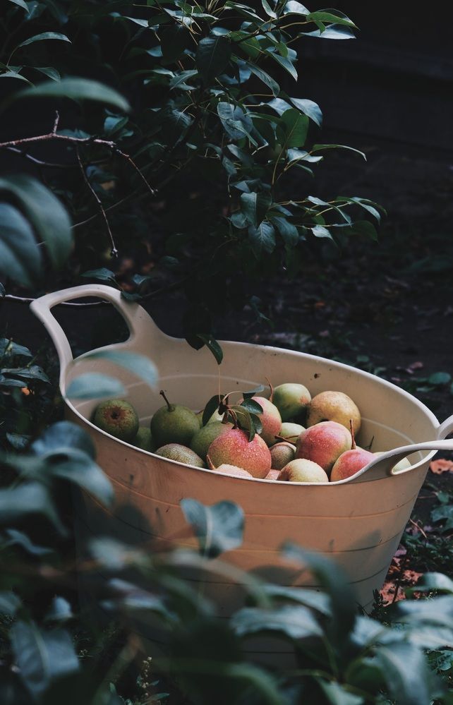 Photograph by Яна Истоцкая