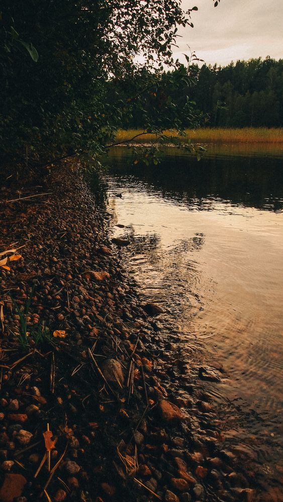 Photo #12643021