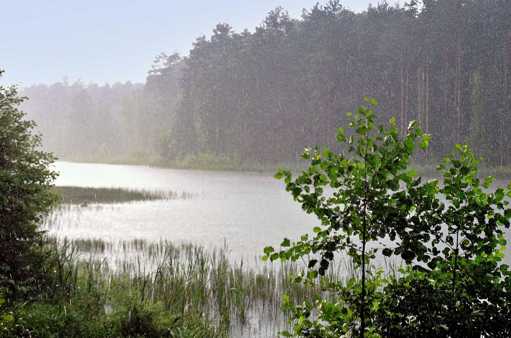 Слепой дождь