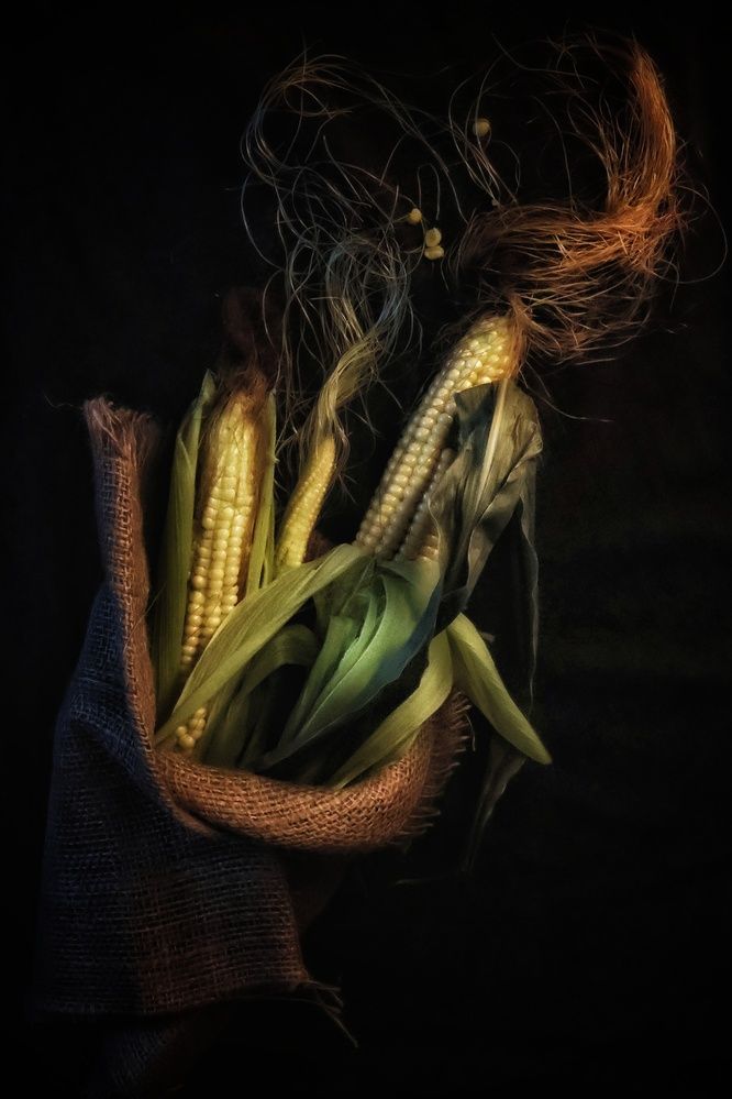 Photograph by Olga Asson