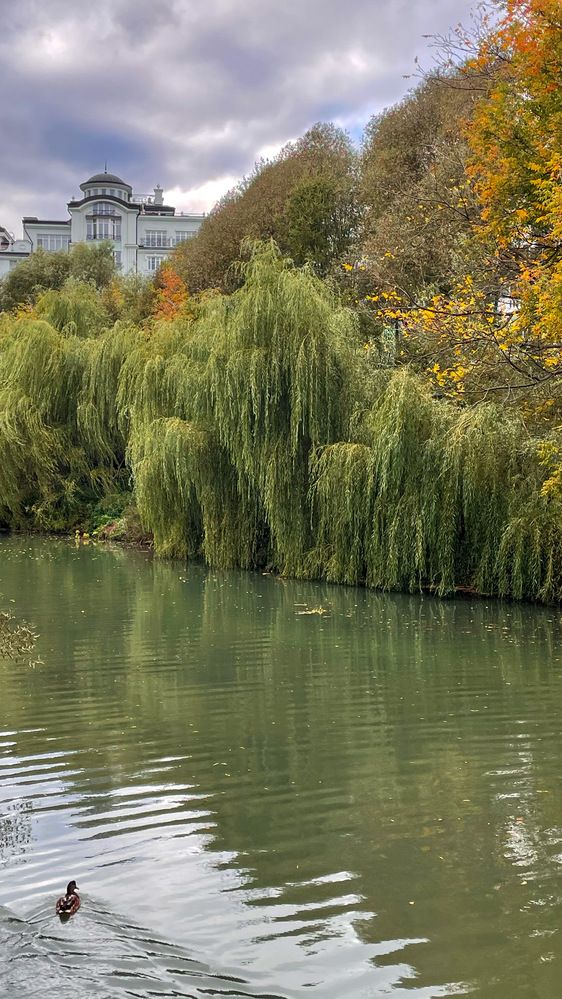 Photograph by Ольга Дорошенко