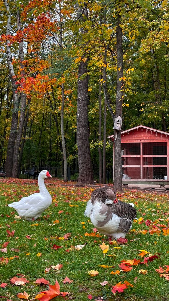 Photograph by Ольга Дорошенко