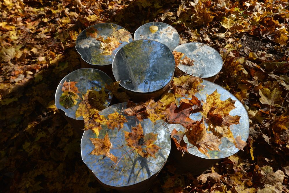 Photograph by Алексей Volg