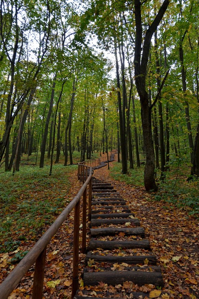 Photograph by Алексей Volg