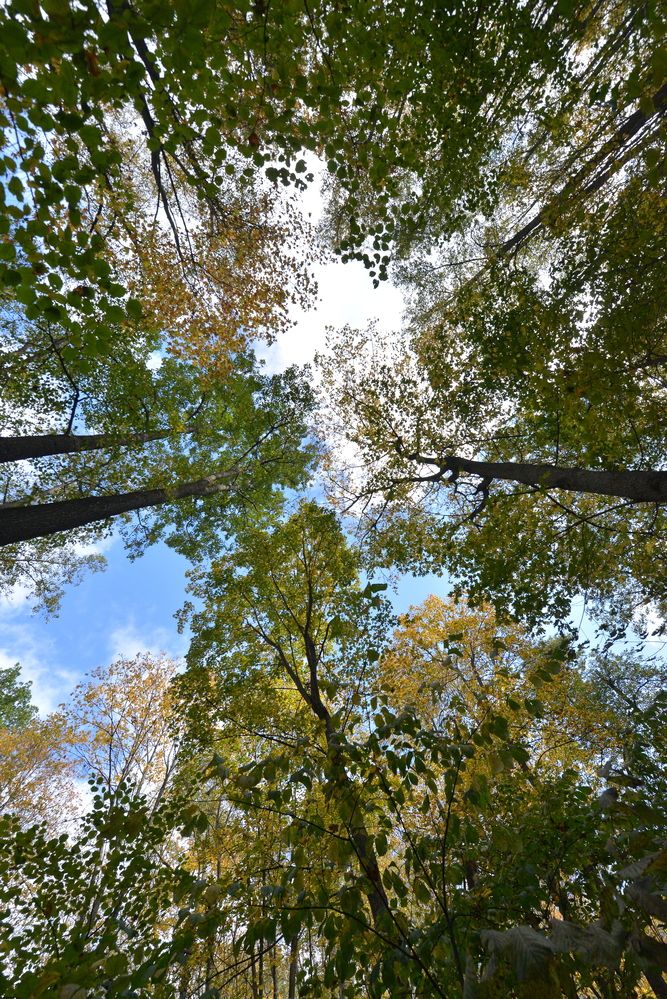 Photograph by Алексей Volg