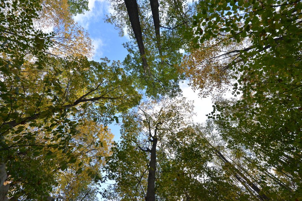 Photograph by Алексей Volg