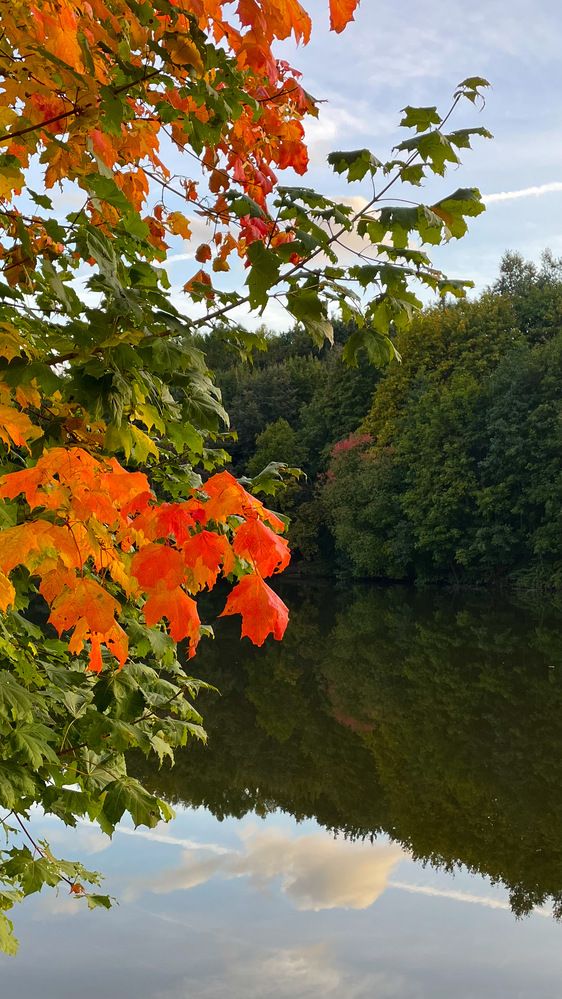 Photograph by Ольга Дорошенко