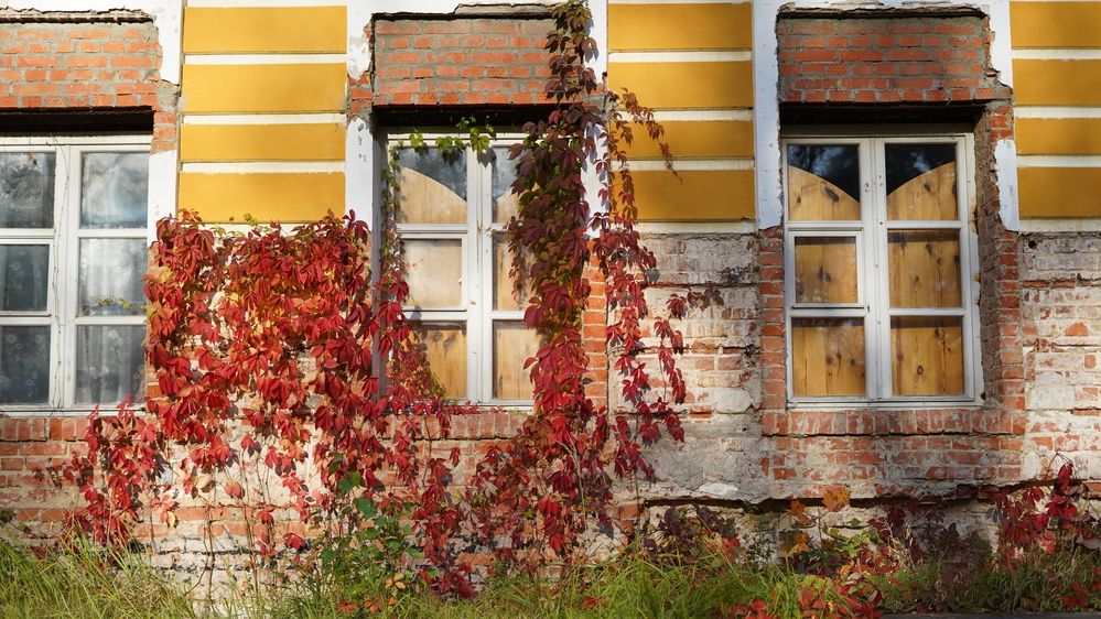 Фотография автора Алена Баулина