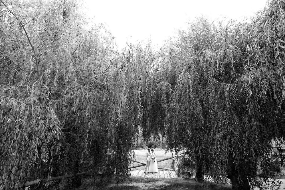 Photograph by PEDRO COBACHO